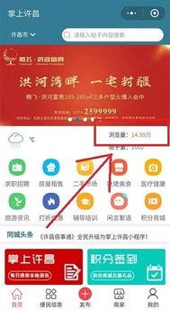 58天在线观看,深度解析热门影视作品 第3张 58天在线观看,深度解析热门影视作品 第3张